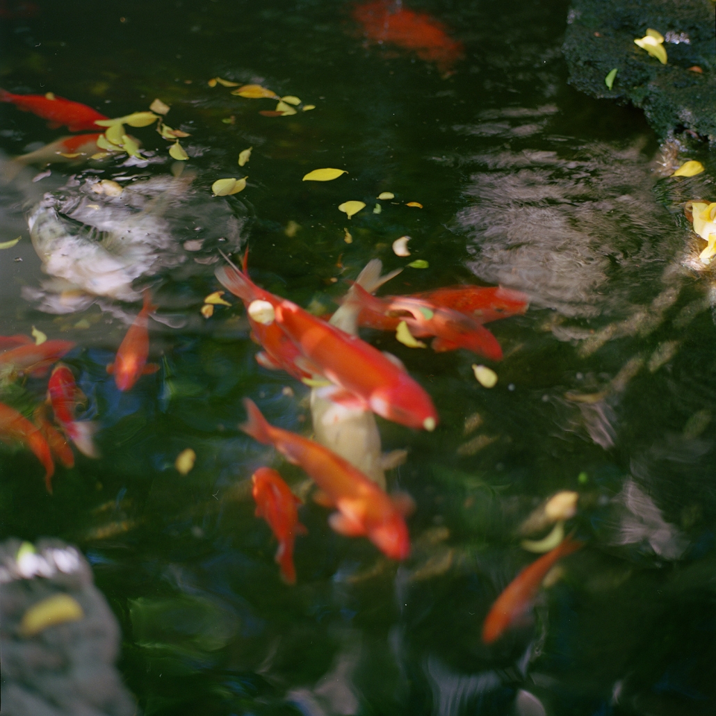 Used to describe an anecdote about my grandfather enjoying his after-lunch snack of ice cream and canned peaches.