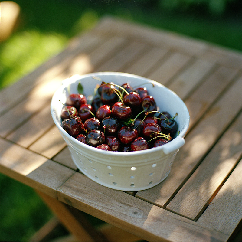 Bowl of fresh cherries.
